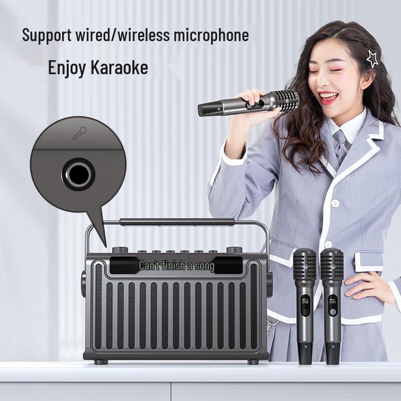 Sansui E96 Portable Karaoke Bluetooth Speaker