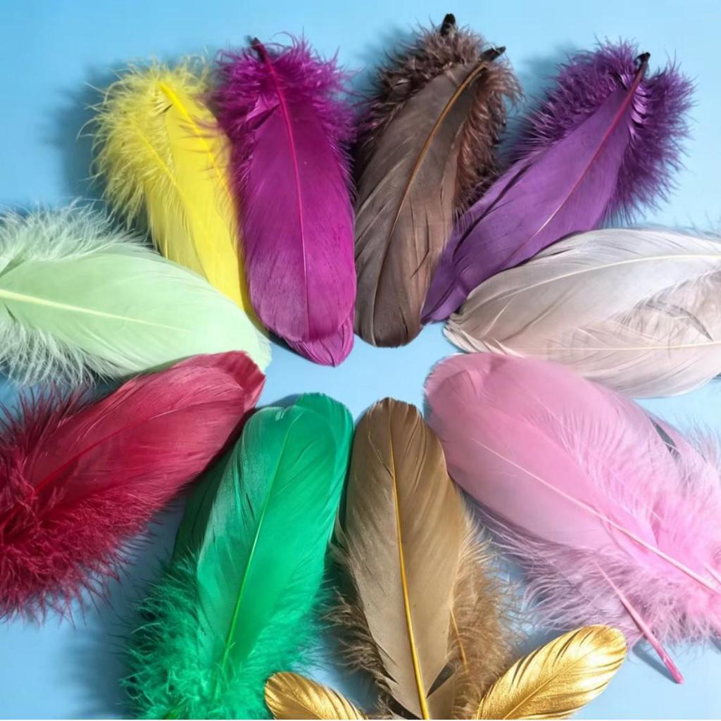 Large Soft Goose Feathers 14-18cm for DIY Dreamcatchers, Flowers & Crafts