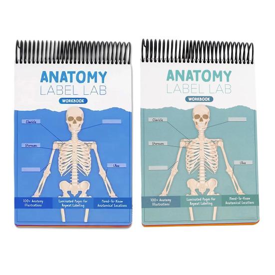 Anatomy Label Lab Workbook Human Anatomy Illustrations Workbook 100+ Full-Color Dry-Erase Pages Educational Resource for Students Professionals