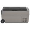 VidaXL Cooler with Wheel and Handle Black and Gray 50 L PP and PE, Electric Cooler, Compressor Refrigerator, Cooler 51785