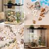 1 Sada Akvarijní Krajinářství Miniaturní Mušle Mini Mušle DIY Šperkařské Materiály DIY Doplňky Akvarijní Dekorace Různé