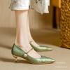National Style Chinese Pointed High Heels 2025 New French Temperament with Skirt One-word Belt Autumn Bag Head Single Shoes Women