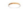 OEING Creative Round LED Ceiling Light