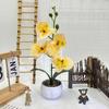 Multicolor Artificial Orchid Bonsai 4 Flower White Flowerpot Simulation Flower Potted Photo Props Green Leaves
