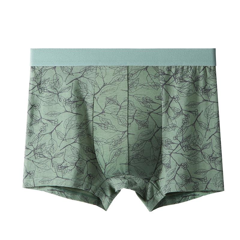 Men s Pure Cotton Printed Comfortable Breathable Antibacterial Boxer Briefs XL