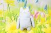 Shinada Global Fumofumo-san Mamomo (M) Baby 10 x 5 x 20 cm Plysjleketøy Varer Dyrevarer FMBB-0078G