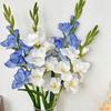 NEW Multicolor Gladiolus Artifiical Flower Green Leaves DIY Faux Flower Ornament Photo Props Artifiical Gladiolus Flower Wedding