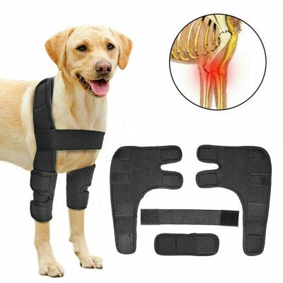 petsmart knee brace for dogs
