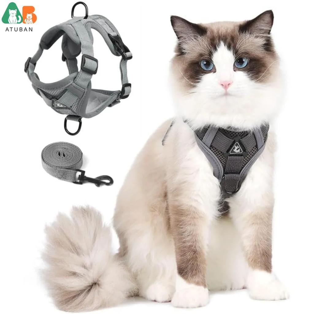 Ensemble Harnais et Laisse pour Chat de Petite à Grande Taille Harnais Gilet Réglable pour Chat Bordure Réfléchissante Laisse et Harnais Universels pour Chat
