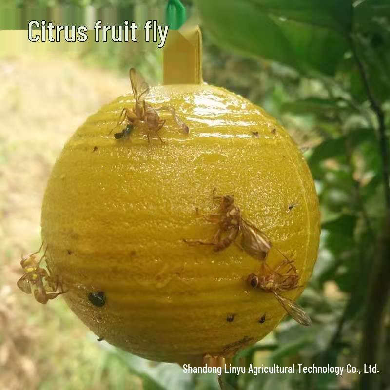 Bee and Fly Attractant Sticky Citrus Trap Ball for Fruit Trees and Melon Orchards