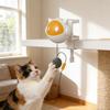 Automatic Lifting Interactive Cat Toy Ball Electric Self Moving Rolling Hair Ball Fun Hilarious Pet Cat Play Chasing Toy Supplie