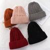 Winter Warm Soft Casual Ski Hats Thick Fleece Hedging Cap Slouchy Bonnet Wool Knitted Beanies