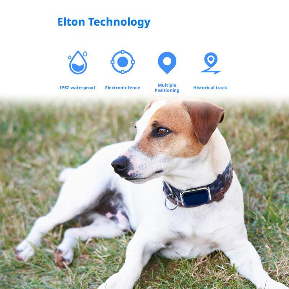 G12 Husdjurshalsbandslokaliserare För Katter&Hundar Valpar Anti-förlust Fjärrkontroll Global Lokaliserare 500mA Smart Vattentät GPS-positioneringshalsband