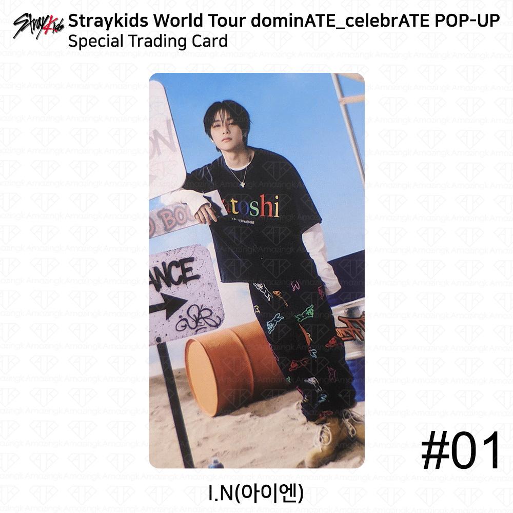 

Stray Kids Мировой тур DominATE CelebrATE POP-UP Специальная торговая карта KPOP K-POP I.N #1