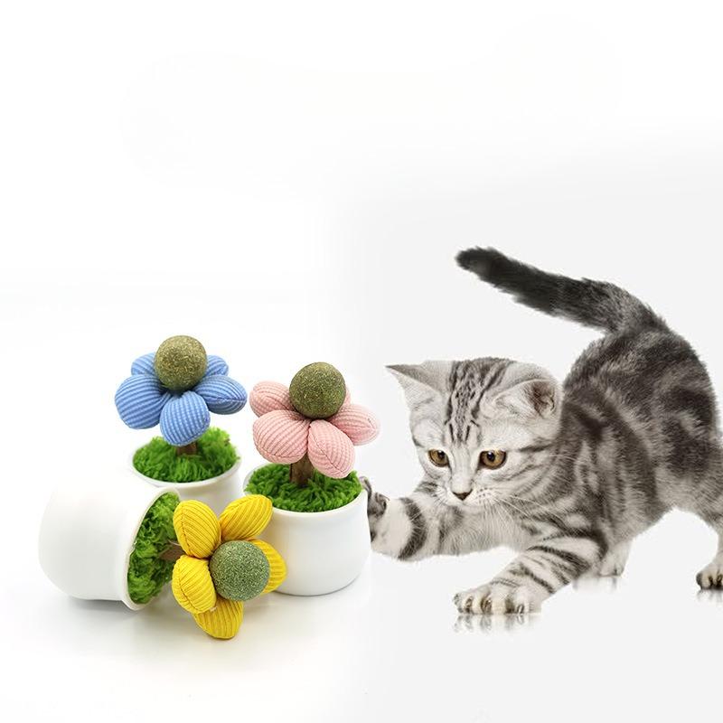 Catnip Balls, Cat Gnawing Toys, Cute Flowerpot Cat Toys, Wooden Tianliao Teething Sticks, Self-entertaining and Boring Toys for Kittens