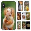 YNDFCNB Cute Animal Squirrel Customer Phone Case for Xiaomi Redmi 5 5Plus 6 6A 4X 7 7A 8 8A 9 Note 5 5A 6 7 8 8Pro 8T 9