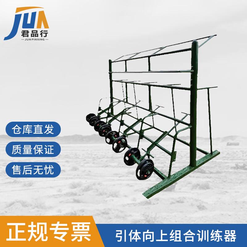 Pull-up & Fitness Combo Trainer