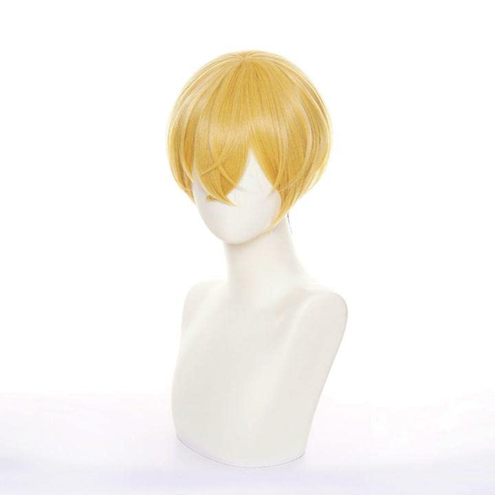 LVMEY Anime Cosplay Character Disguise Cosplay Cosplay Comic Market Cultural School with Wig Net Wig, Gold/Black Short, Heat-Resistant, Wig, Wig,
