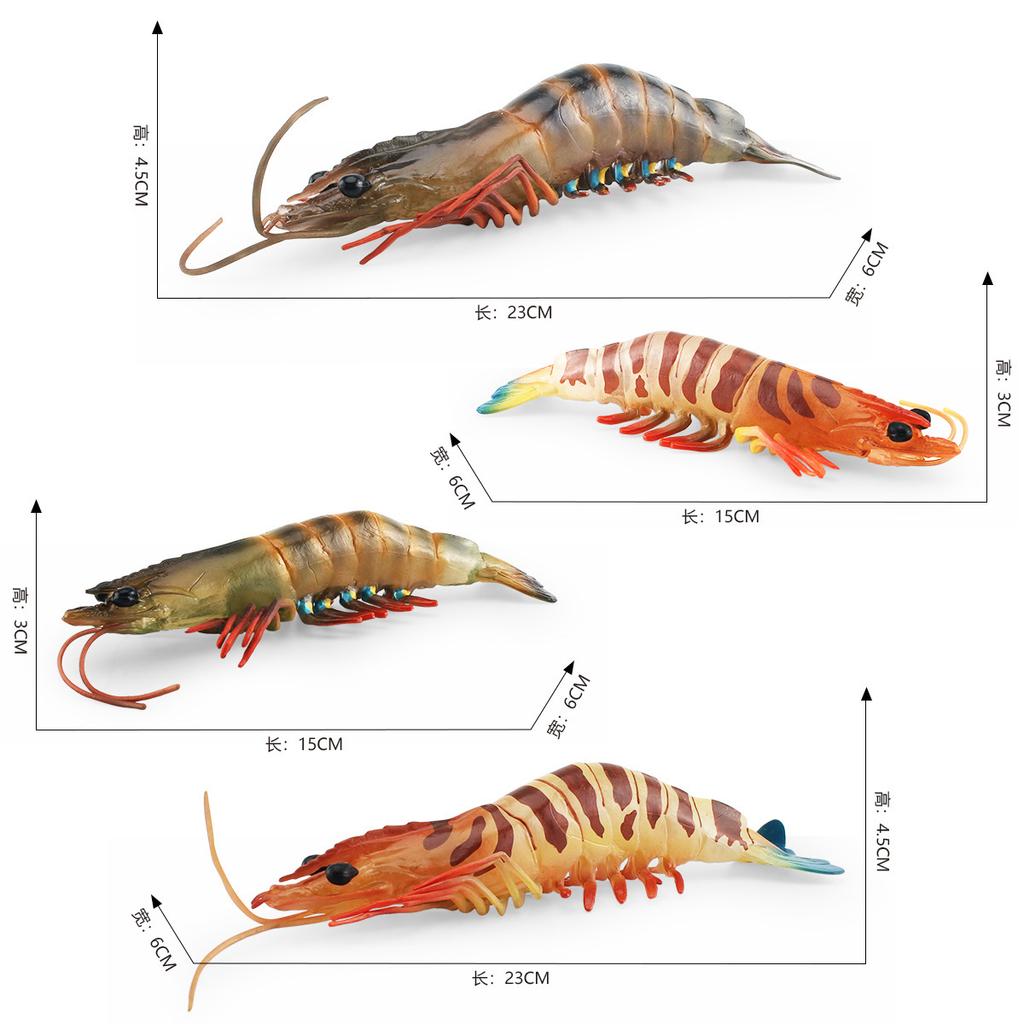 Simuliertes Meereskreaturenmodell Kinderkognition Penaeus Monodon Aquatische Tigergarnele Meeresboden-Tier Statisches Ornament