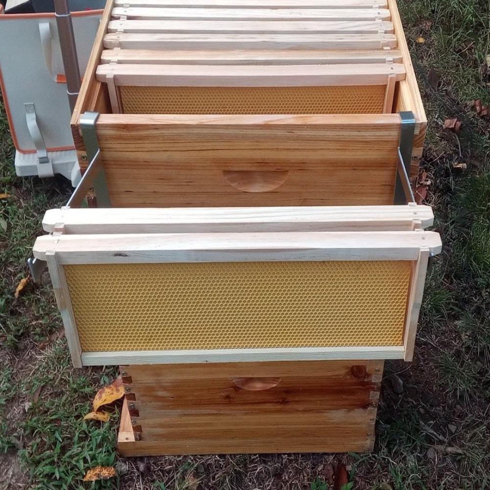 2pcs Rustproof Beehive Frame Holder Adjustable Bee Hive Frame Gripper Bee Colony Inspection