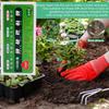 Plant Nutrient Stick Home Use Flower Green Potted Plant Growth Cultivation Flower Fruit Slow Release Nutrient Agent Wholesale