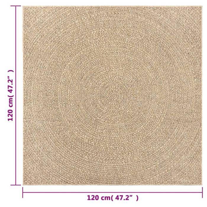 VidaXL ZIZUR Rug 120x120 Cm Jute Look Indoor and Outdoor, Outdoor Rug, Floor Mat, Indoor Rug, 4006162
