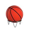 Mobile Basketball Hoop and Storage Rack for Basketball, Football, and Volleyball