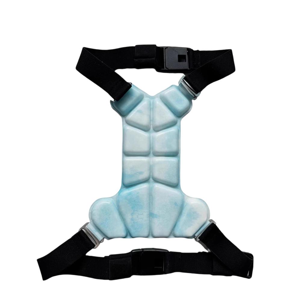 Hondenvest met Herbruikbare Faseveranderende Ijspacks voor Warm