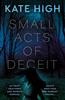 Small Acts of Deceit by Kate High Paperback Book 9781835742143