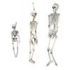 Halloween Resin Full Body Skeletons with Movable Joints for Home Costume Party Decoration Props