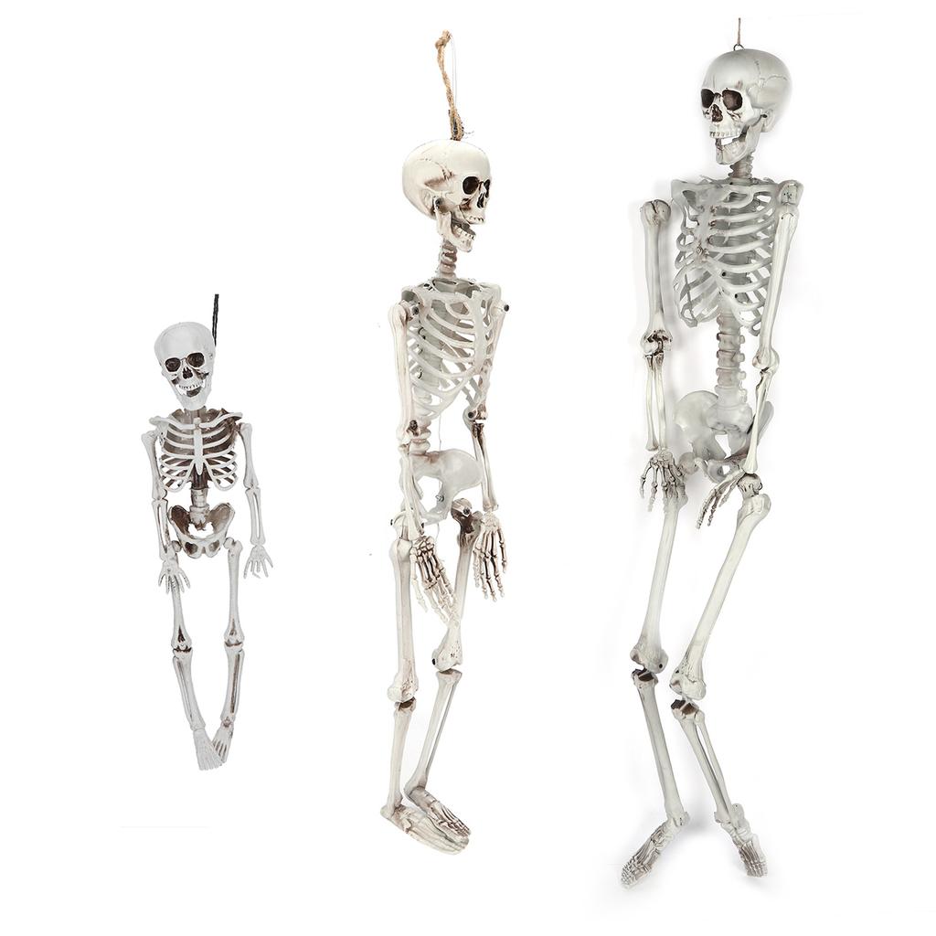 Halloween Resin Full Body Skeletons with Movable Joints for Home Costume Party Decoration Props
