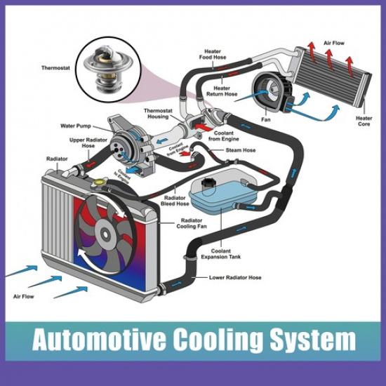 Engine Coolant Thermostat Housing ONE for Nissan Xterra 2000-2004