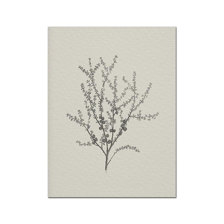 Botanical Posters Prints Abstract Leaves Canvas Painting Vintage Beige Wall Art Pictures Modern Living Room Home Decor