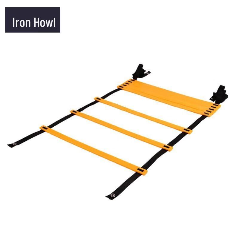 Agility Speed Training Ladder