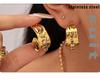 Qiong Yao Mixed Color Cubic Zirconia Open Ring C-shaped Earrings, 18K Gold Plated Stainless Steel Jewelry Set for Women