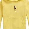Polo Ralph Lauren Printed Hooded Pullover Sweatshirt Kids Sweatshirts 313965121-002