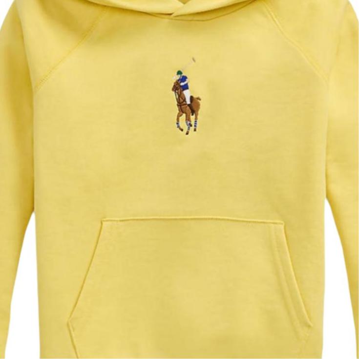 Polo Ralph Lauren Printed Hooded Pullover Sweatshirt Kids Sweatshirts 313965121-002