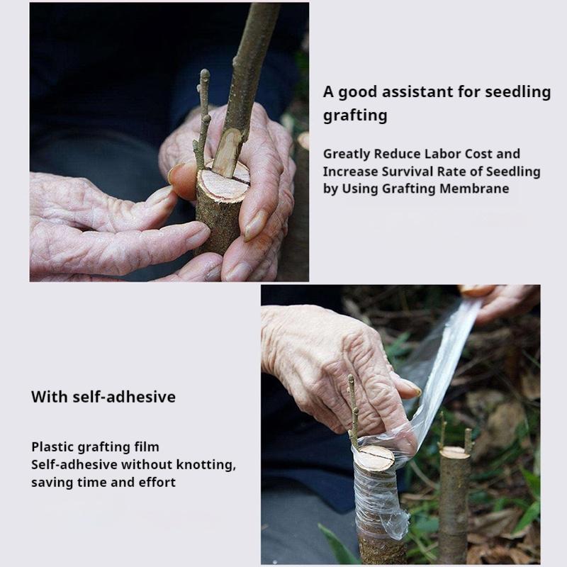 PE Grafting Film Self-adhesive Garden Tree Plants Seedlings Grafting Tape Stretchable Multi-purpose Film 2/3cm Width 100m Long