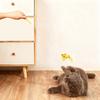 Kedi – Kedi Oyuncakları