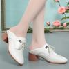 Single Shoes Women's Spring and Autumn Leather Shoes Thick-heeled Lazy Shoes