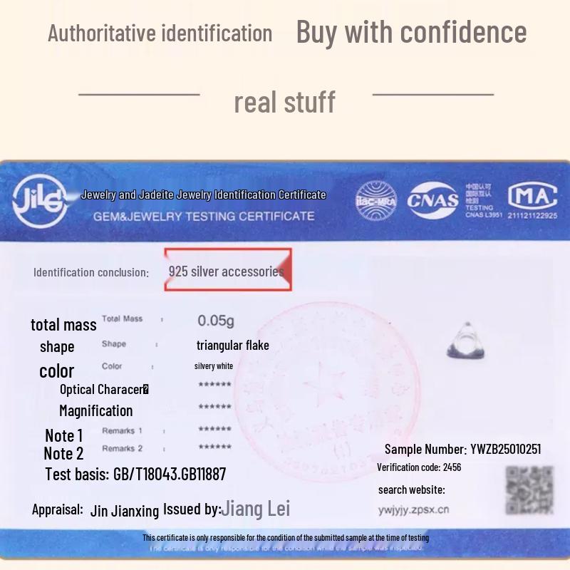 Perles Libres en Argent Sterling 925 pour la Fabrication de Bijoux DIY: Perles intercalaires pour bracelets et colliers