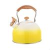 Stainless Steel Kettle for Outdoor Use