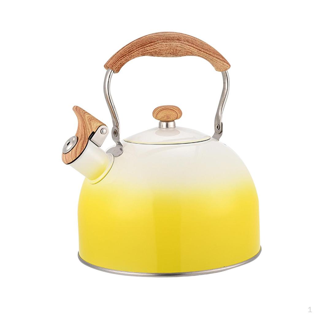 Stainless Steel Kettle for Outdoor Use