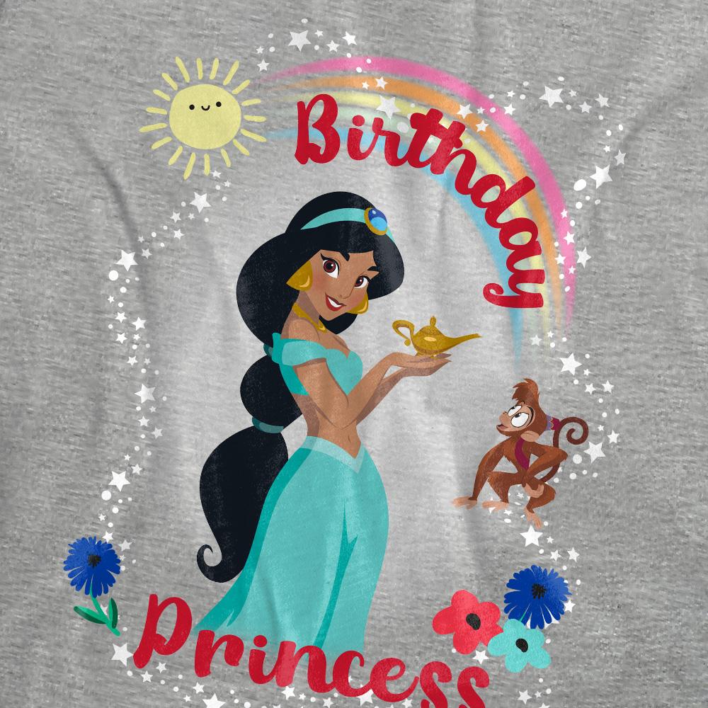 Aladdin Womens/Ladies Birthday Princess Jasmine Abu Heather T-Shirt