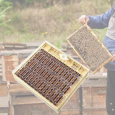 Bienenkasten Zuchtbox Professionell Sicher Einfach zu Bedienen Imkerei Bienenhaltung Königinnenzucht Pfropfset Bienenstock Bienenkiste