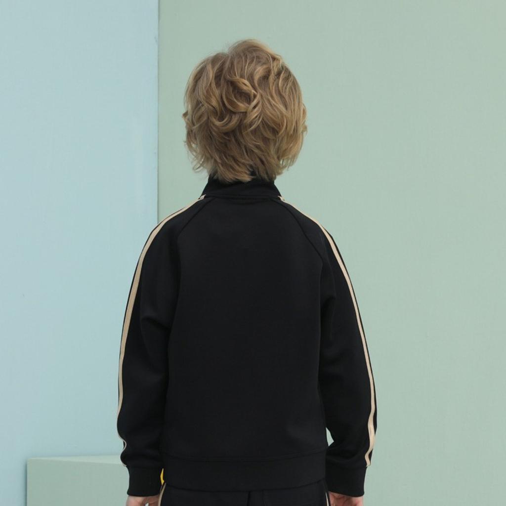 Adidas Taekwondo Series Color Block Stand Collar Logo Jacquard Long Sleeve Jacket Kids Jackets Black TR30JK-BG