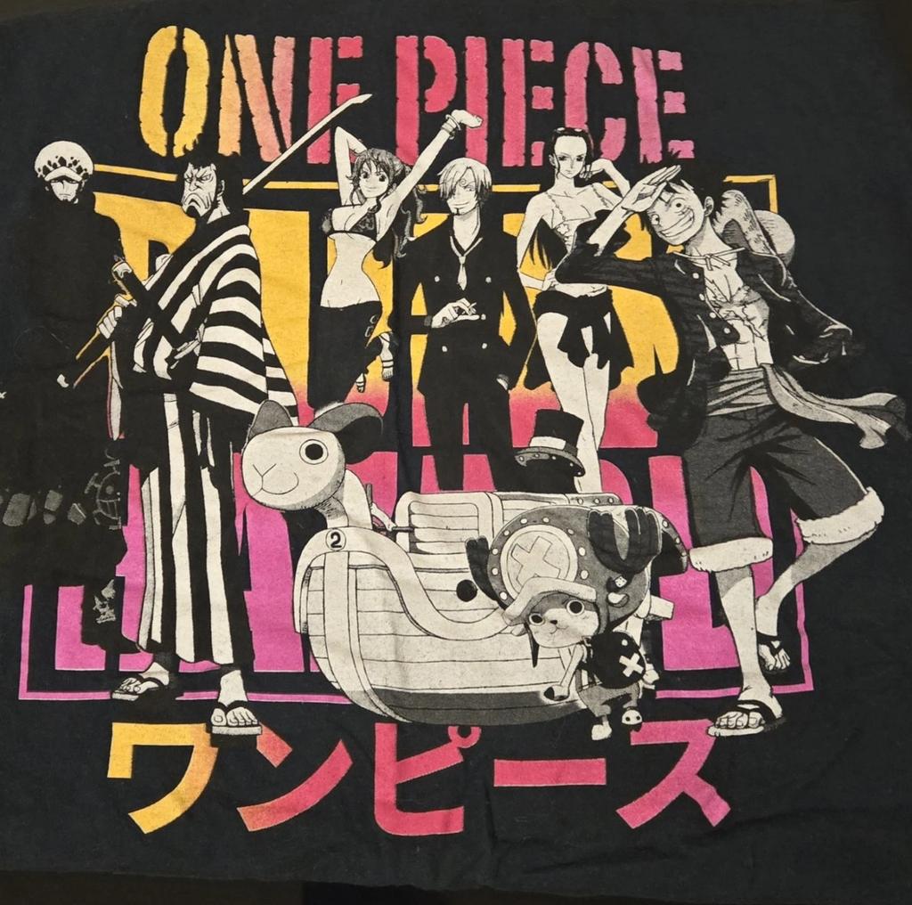 Ripple Junction One Piece T-Shirt Mens Size Medium M Anime Graphic Manga Luffy