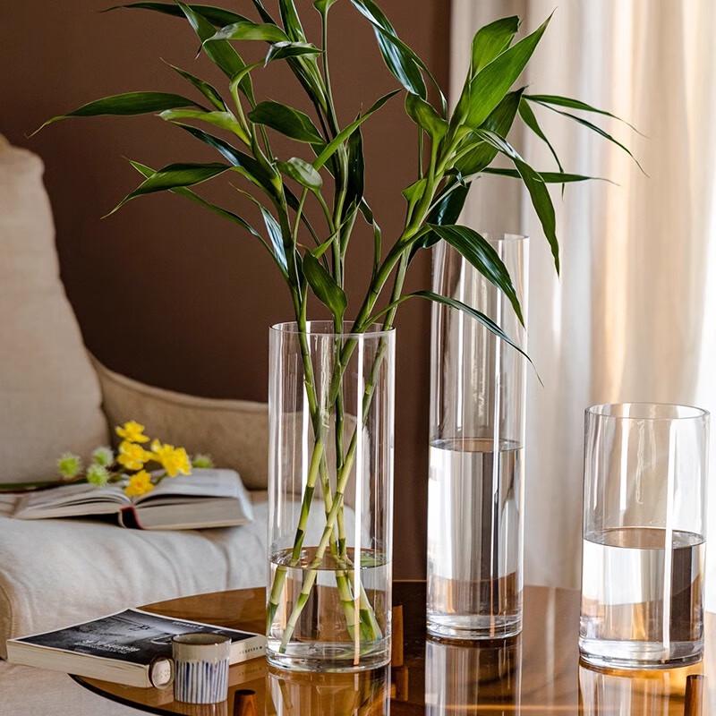 Hanwei Modern Clear Glass Flower Vase