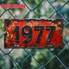 2D Flat Printing, Vintage Metal Sign, for Decorationg Only, Outdoor Wall Art, Number 1977 Aluminum Sign, for Home Decor