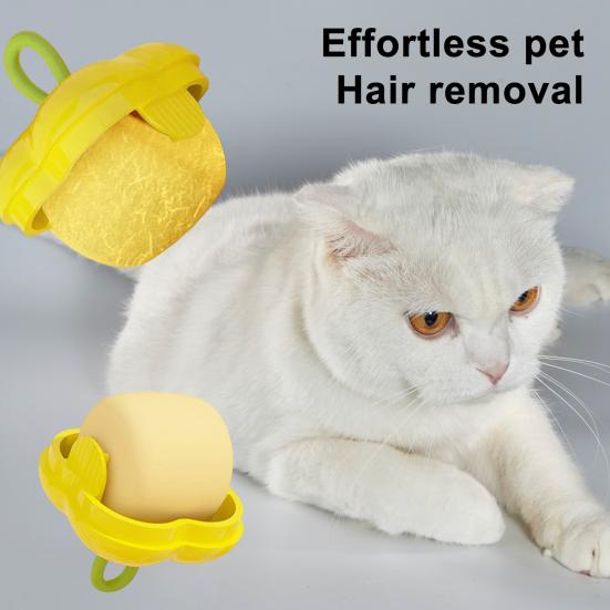 Mini Fruit Shaped Lint Roller Portable Reusable Hair Remover Washable Sticky Roller Compact Size Pet Hair Remover